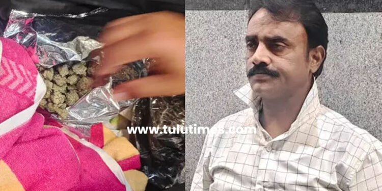 passenger-detained-at-mangaluru-airport-for-carrying-hydroponic-ganja