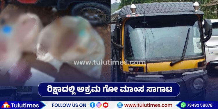 belthangady-illegal-beef-smuggling-in-auto-rikshaw