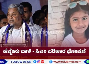 girl-dies-in-bee-attack-cm-announces-rs-5-lakh-compensation-for-family