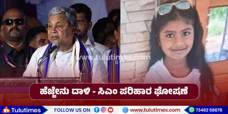 girl-dies-in-bee-attack-cm-announces-rs-5-lakh-compensation-for-family