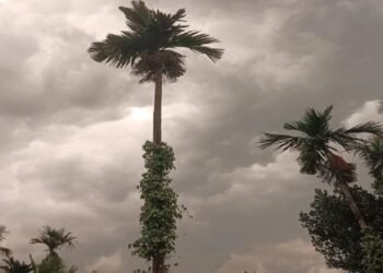 Heavy rains will fall across Karavali district for 4 days. People are losing their minds to the rain.