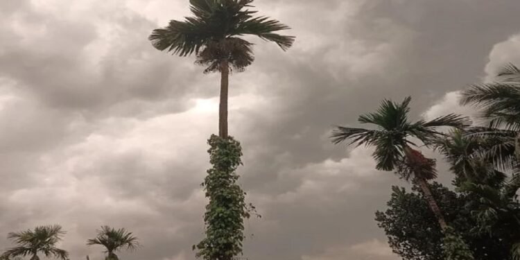 Heavy rains will fall across Karavali district for 4 days. People are losing their minds to the rain.