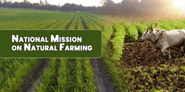 Agriculture: Apply for Natural Agriculture Mission: Assistance to farmers