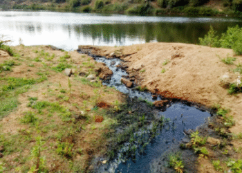 Kushalnagar: Mud fills the banks of the Cauvery River, creating chaos...!