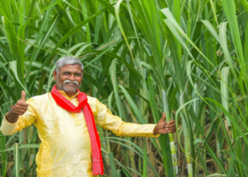 Farmers Protest: Government gives in to farmers' struggle: Farmers celebrate by bursting firecrackers