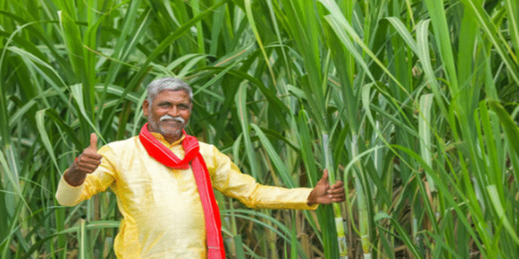 Farmers Protest: Government gives in to farmers' struggle: Farmers celebrate by bursting firecrackers