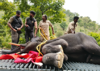 Shivanasamudra: Forest Minister praises this venture of the Forest Department...!