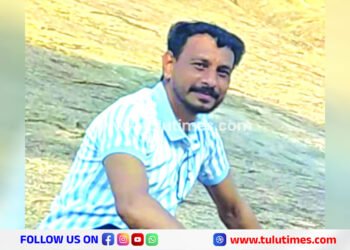 mulleria-kseb-employee-died-after-severely-injured-in-electric-pole-falls-down