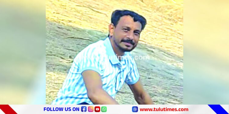 mulleria-kseb-employee-died-after-severely-injured-in-electric-pole-falls-down