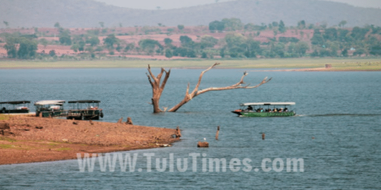 Mysore: Illegal resorts: 'Save Kabini' team releases list of illegal resorts
