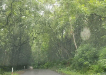 Kadaba: Massive rights rally on November 18th