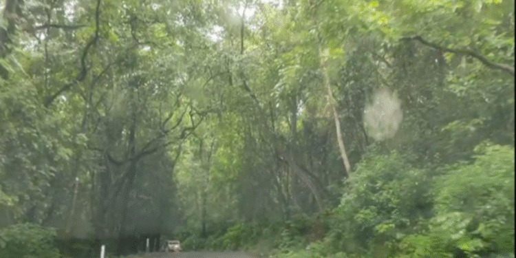 Kadaba: Massive rights rally on November 18th