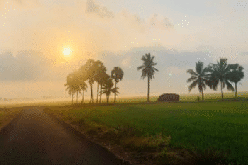 A good morning routine will keep you energized throughout the day.