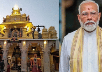 When is it best to eat papaya fruit?