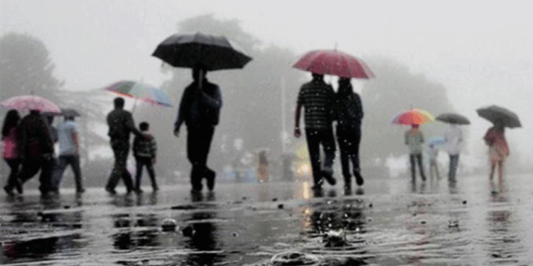 Sullia: Farmers waiting for rain: Heavy rain falls in Sullia