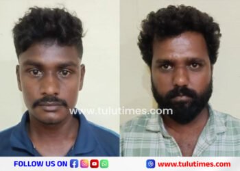 chembu-theft-case-two-nabbed