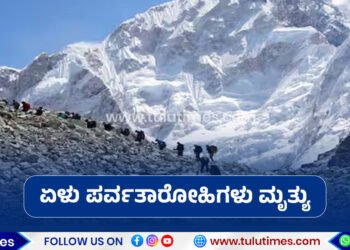 seven-killed-in-avalanche-in-yalung-ri-mountain