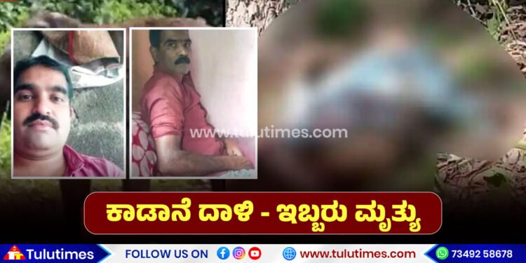 chikkamagaluru two farmers died after elephant attack