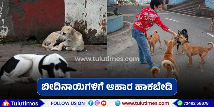 the-udupi-city-council-has-decided-to-take-action-against-those-who-leave-dogs-in-public-places