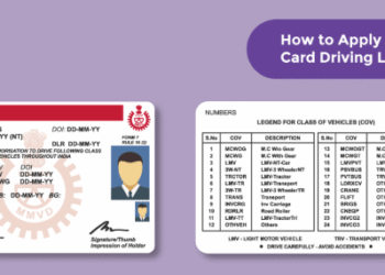 Smart cards for drivers too: Transport Department's new plan