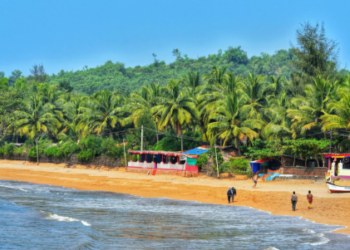 This is the perfect place to plan a low-cost New Year's celebration!