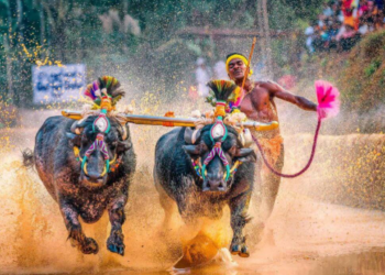 Has action been taken to release funds for the Kambalotsavas?