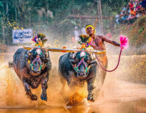 Has action been taken to release funds for the Kambalotsavas?