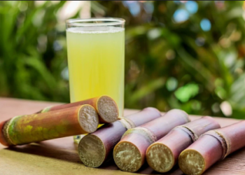 For this reason, refresh your body and health!