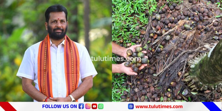 crop-insurence-cant-helps-arecanut-farmers-of-dakshina-kannada