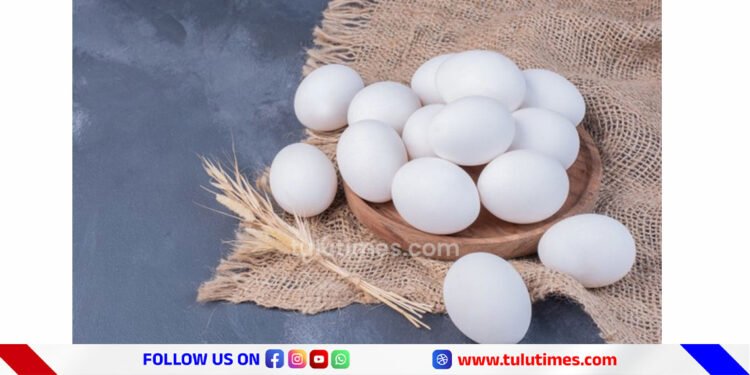 karnataka-govt-will-verify-claims-of-genotoxic-substances-in-egg-brand