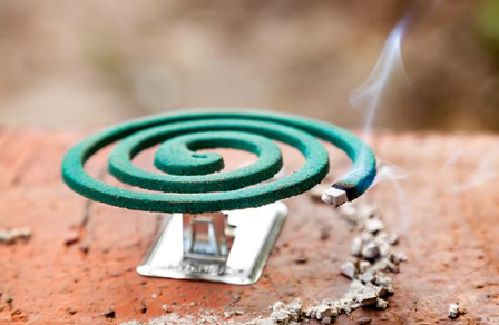 Be careful before using mosquito coils: Here are alternatives!