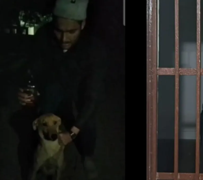 Youth forcibly makes dog drink alcohol: Outrage on social media