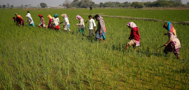 Demand for tax cuts from the agricultural sector ahead of the budget, more support for farmers