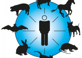 Viral disease transmitted to humans from infected animals