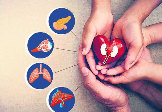 Record level of organ donation in Karnataka: Third position in the country