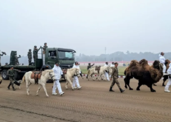Which animal groups will perform in the Republic Day Parade 2026?
