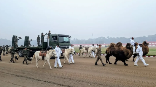 Which animal groups will perform in the Republic Day Parade 2026?