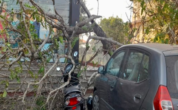 https://tulutimes.com/5413/sports/mangalore-huge-t…und-heavy-damage/