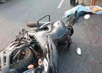 https://tulutimes.com/5508/mangaluru/udupi-biker-dies…ing-hit-by-truck/