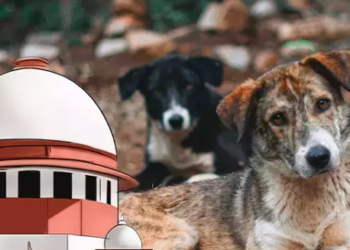 What did the Supreme Court say in the retrial on the menace of stray dogs?