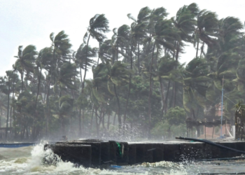 Impact of cyclone in Tamil Nadu: Rain likely in many districts of Karnataka including Udupi