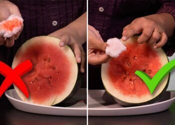 ಬೇಸಿಗೆಯಲ್ಲಿ ಕೃತಕ ಕಲ್ಲಂಗಡಿಗಳ ಬಗ್ಗೆ ಎಚ್ಚರ : ಆರೋಗ್ಯ ಇಲಾಖೆ