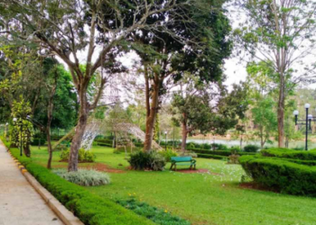 Pilikula Biological Park management to be handed over to Zoo Authority soon