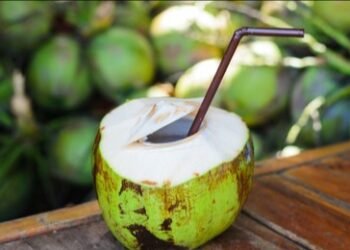 ಬೇಸಿಗೆಯಲ್ಲಿ ಎಳನೀರು ಸೇವಿಸುವ ಅಭ್ಯಾಸ ಬೆಳೆಸಿಕೊಳ್ಳೋದು ಉತ್ತಮ !