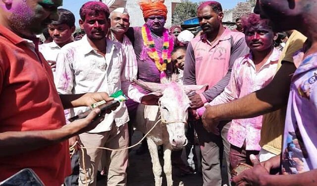 ಅಳಿಯನಿಗೆ ಕತ್ತೆ ಮೇಲೆ ಮೆರವಣಿಗೆ : ಹೀಗೊಂದು ‘ಹೋಳಿ‌’ ಸಂಭ್ರಮಾಚರಣೆ