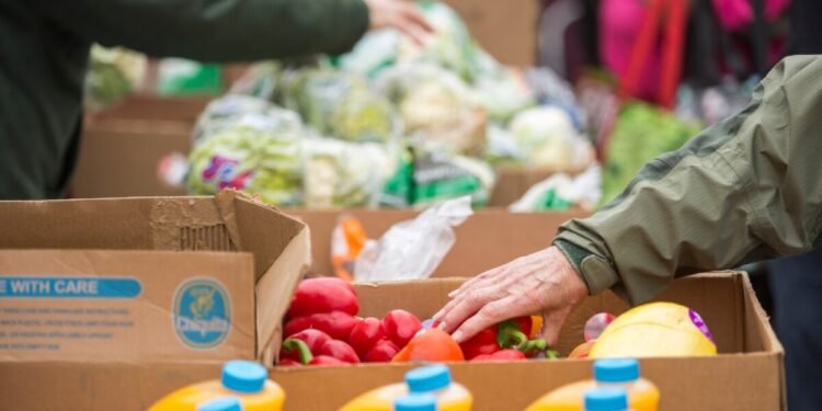 ಆಹಾರ ಬ್ಯಾಂಕ್ಗಳ ಕಥೆ ಕೇವಲ ಸಂಕಷ್ಟದ ಕಥೆಯಲ್ಲ; ಅದು ಮಾನವೀಯತೆಯ ಪರೀಕ್ಷೆ