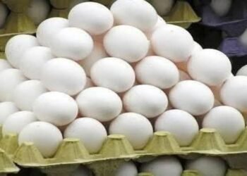 ಮಧ್ಯಪ್ರಾಚ್ಯ ಉದ್ವಿಗ್ನತೆ ಪರಿಣಾಮ: ಮೊಟ್ಟೆ ಬೆಲೆಯಲ್ಲಿ ಭಾರೀ ಇಳಿಕೆ