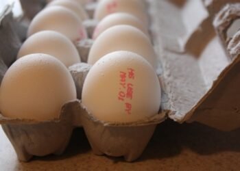 ‘ಮೊಟ್ಟೆ’ಗೆ ಲಾಸ್ಟ್ ಡೇಟ್ ಇದೆಯಾ? ಗ್ರಾಹಕರು ತಿಳಿಯಬೇಕಾದ ಮಹತ್ವದ ಮಾಹಿತಿ