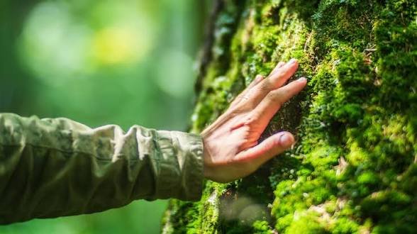 ಮನುಷ್ಯನ ಯೋಜಿತ ಪ್ರಯತ್ನ ಪ್ರಕೃತಿಯನ್ನೇ ಬದಲಾಯಿಸುತ್ತೆ…!