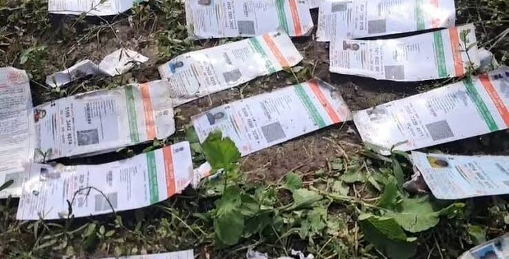 ಬಂಟ್ವಾಳ: ನೇತ್ರಾವತಿ ನದಿ ತೀರದಲ್ಲಿ ಆಧಾರ್ ಕಾರ್ಡ್ಗಳ ರಾಶಿ